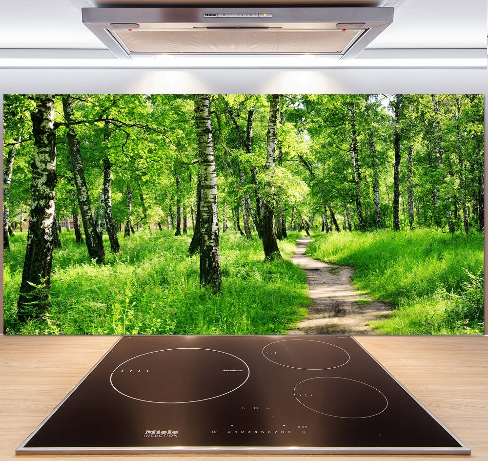 Cooker splashback Birch forest