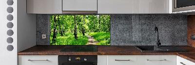 Cooker splashback Birch forest