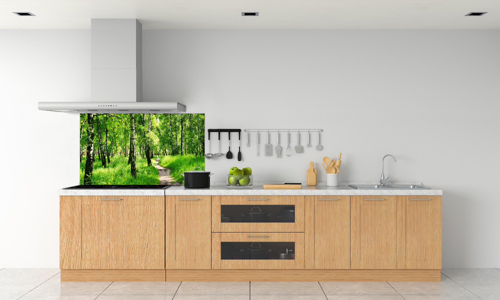 Cooker splashback Birch forest