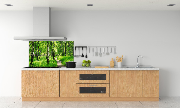 Cooker splashback Birch forest