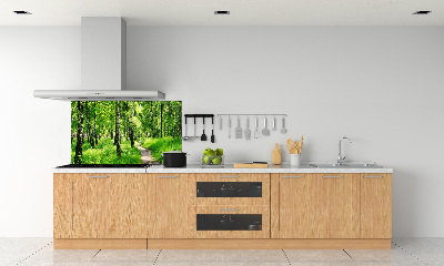 Cooker splashback Birch forest