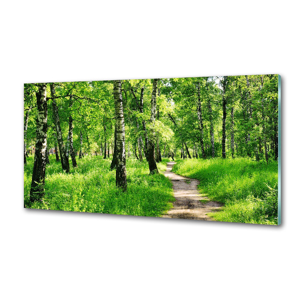 Cooker splashback Birch forest