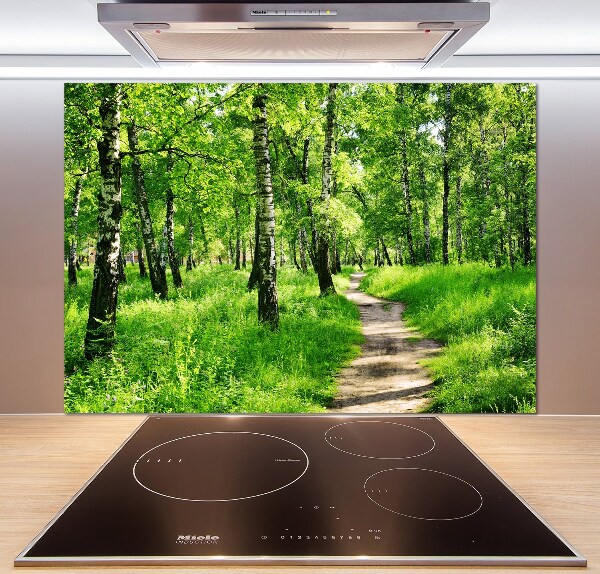 Cooker splashback Birch forest