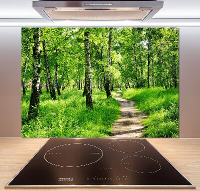 Cooker splashback Birch forest