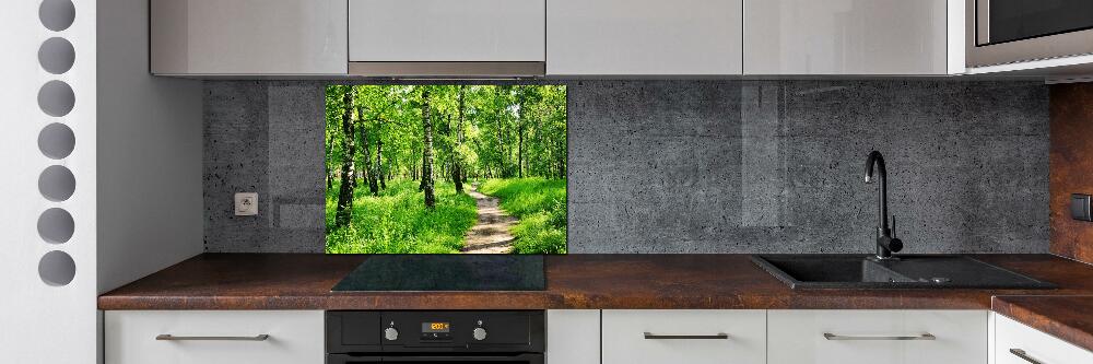 Cooker splashback Birch forest