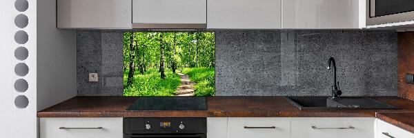 Cooker splashback Birch forest