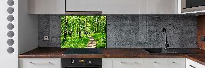 Cooker splashback Birch forest