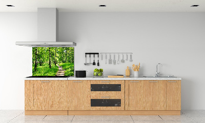 Cooker splashback Birch forest