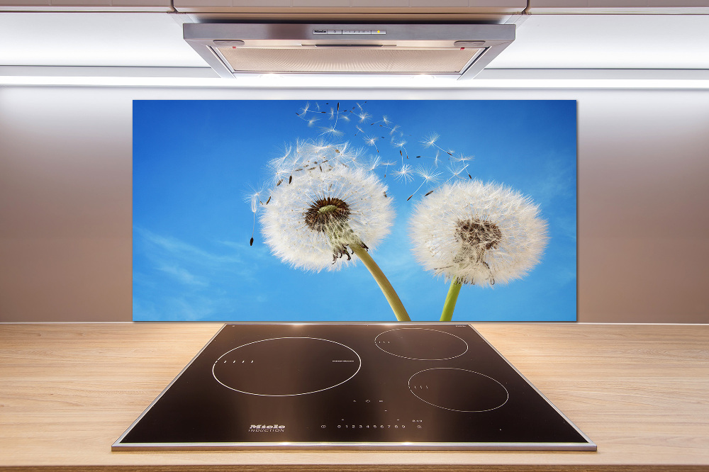 Kitchen splashback dandelions