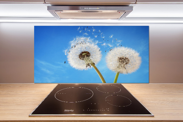 Kitchen splashback dandelions