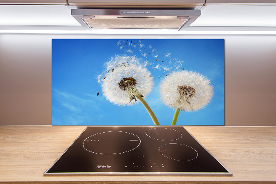 Kitchen splashback dandelions