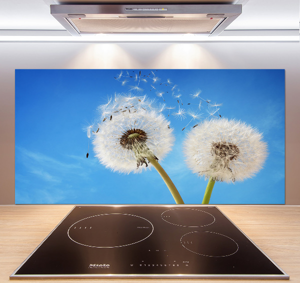 Kitchen splashback dandelions