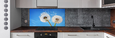 Kitchen splashback dandelions