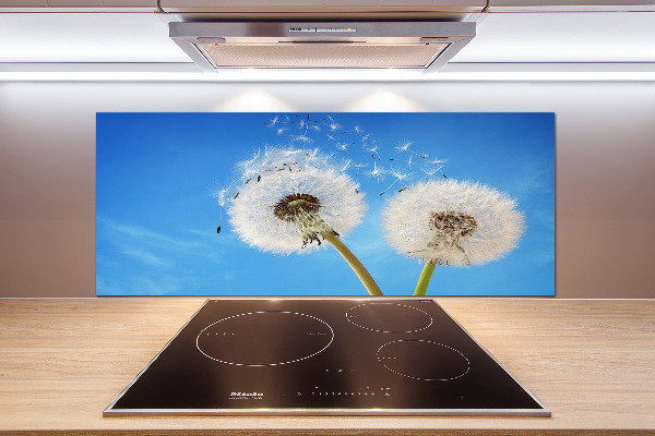 Kitchen splashback dandelions