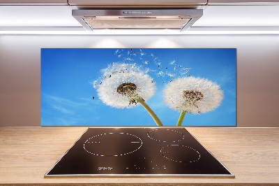 Kitchen splashback dandelions