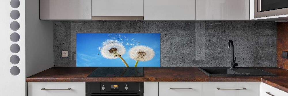 Kitchen splashback dandelions