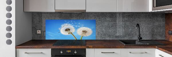 Kitchen splashback dandelions