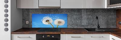 Kitchen splashback dandelions