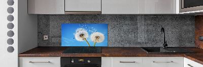 Kitchen splashback dandelions