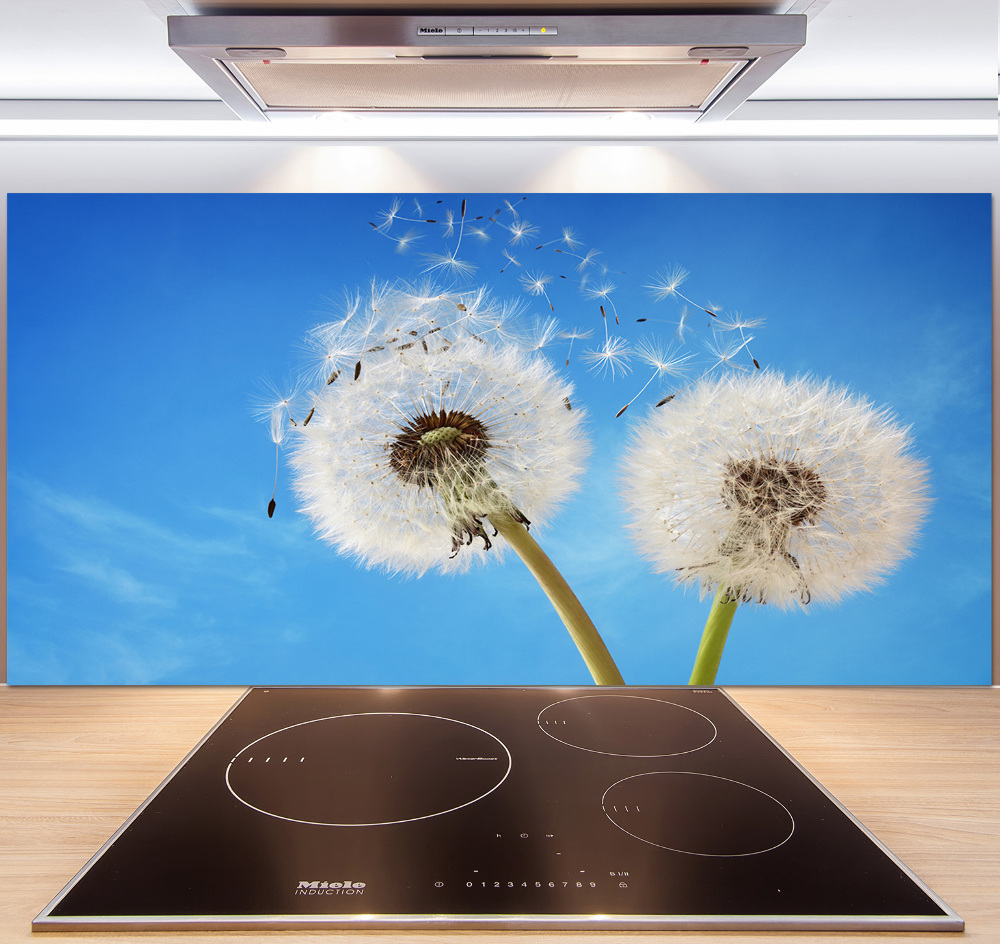 Kitchen splashback dandelions