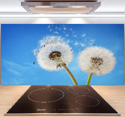 Kitchen splashback dandelions