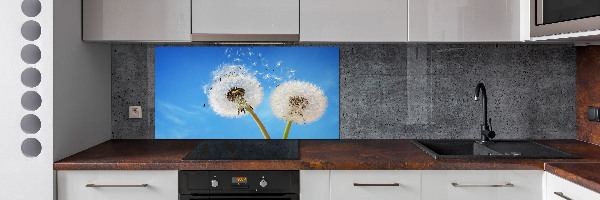 Kitchen splashback dandelions