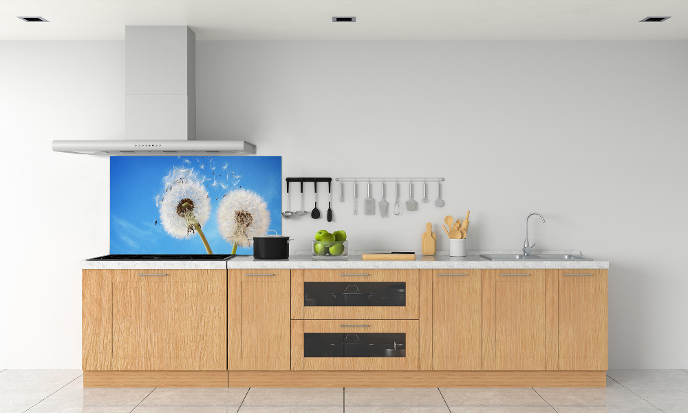 Kitchen splashback dandelions