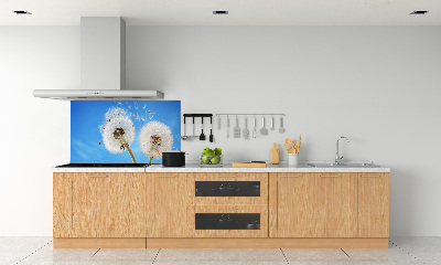 Kitchen splashback dandelions