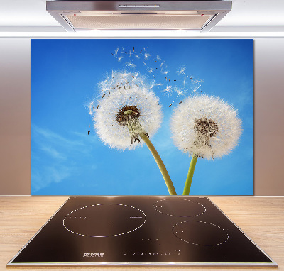 Kitchen splashback dandelions