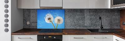 Kitchen splashback dandelions