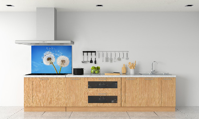 Kitchen splashback dandelions