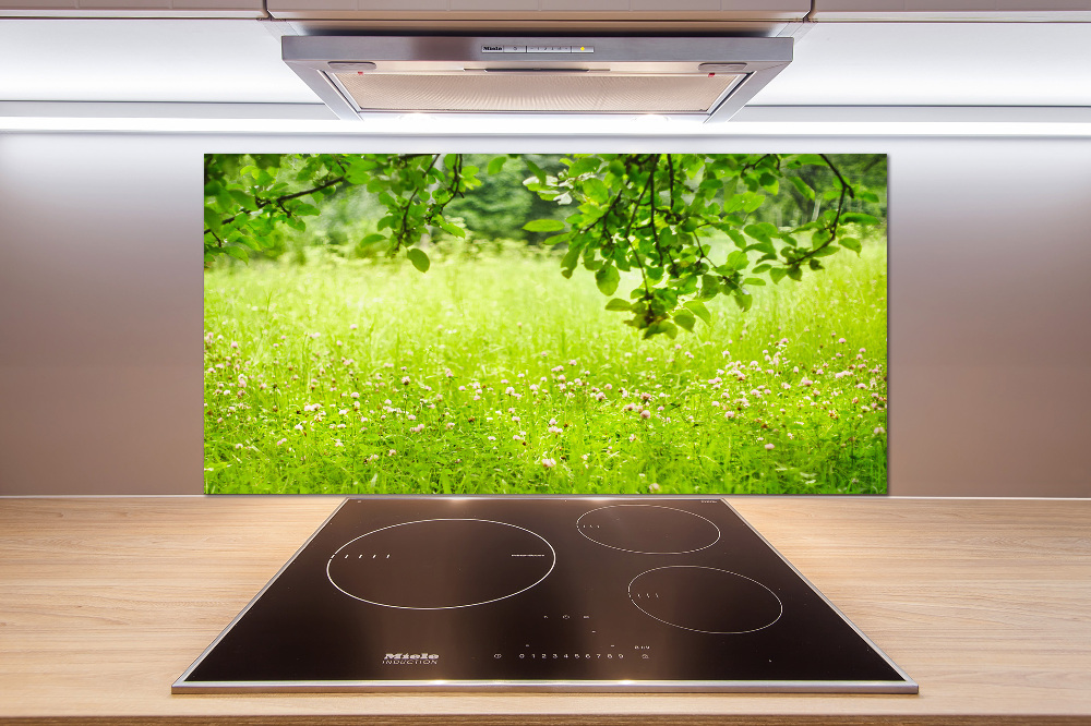 Cooker splashback Green meadow