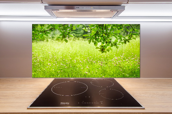 Cooker splashback Green meadow