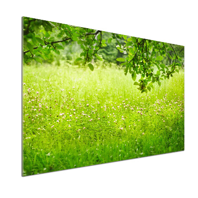 Cooker splashback Green meadow