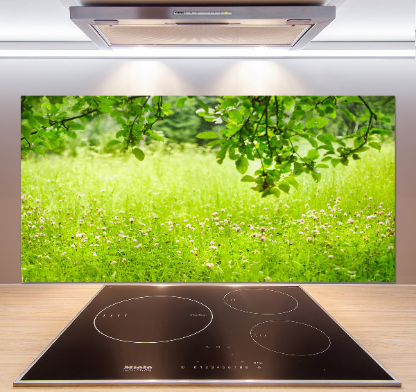 Cooker splashback Green meadow