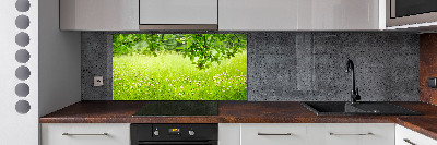 Cooker splashback Green meadow