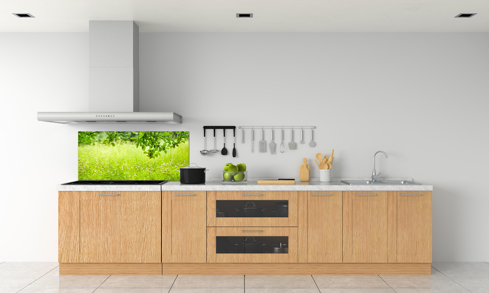 Cooker splashback Green meadow