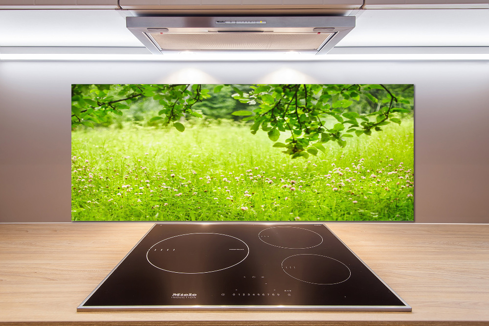 Cooker splashback Green meadow