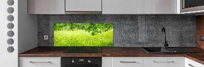 Cooker splashback Green meadow