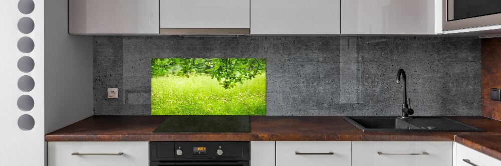 Cooker splashback Green meadow