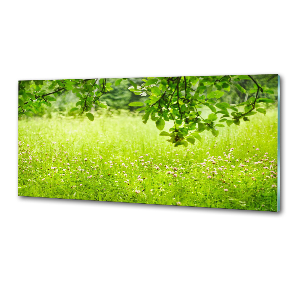 Cooker splashback Green meadow