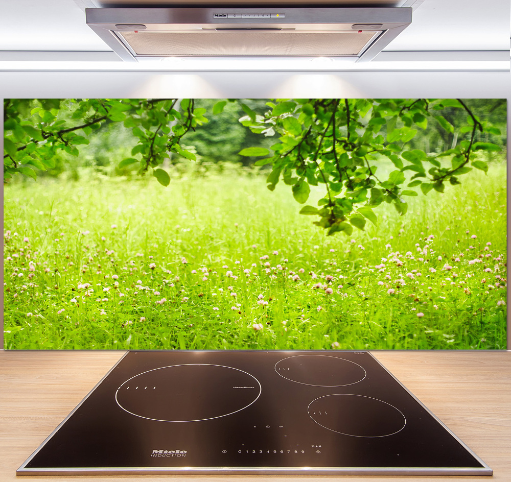 Cooker splashback Green meadow