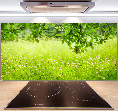 Cooker splashback Green meadow