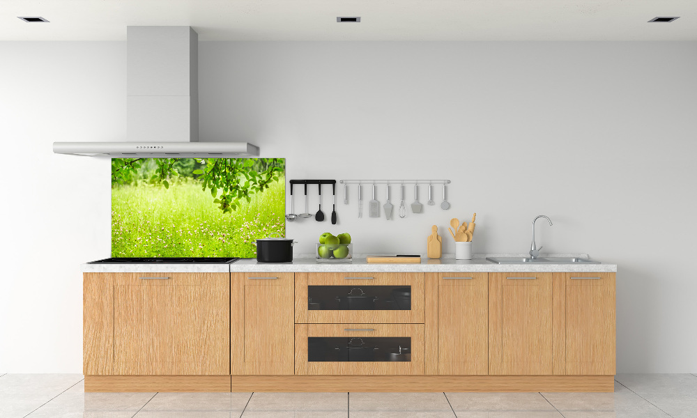 Cooker splashback Green meadow