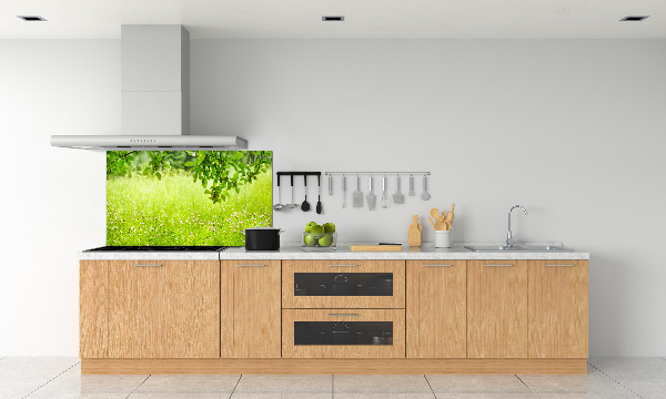 Cooker splashback Green meadow