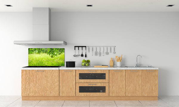 Cooker splashback Green meadow