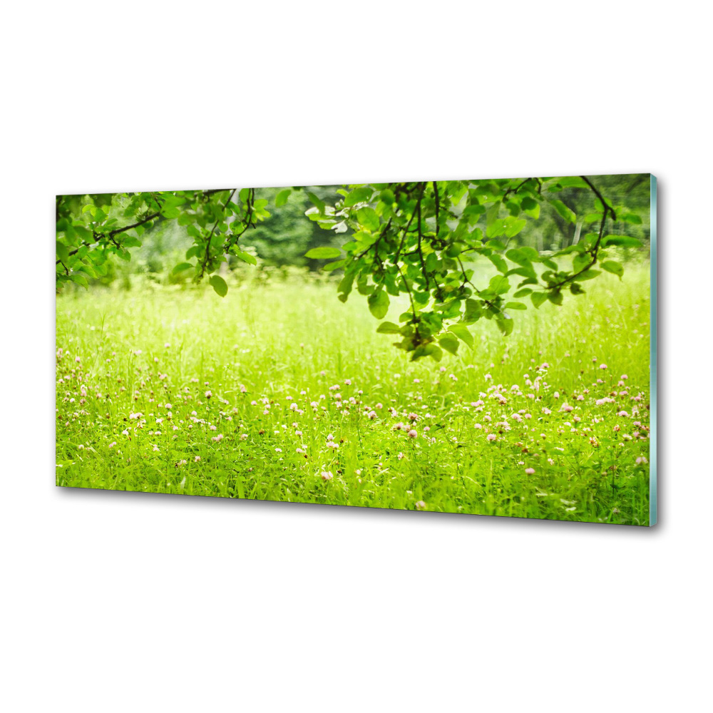 Cooker splashback Green meadow