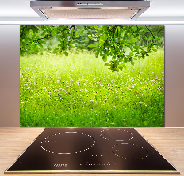 Cooker splashback Green meadow