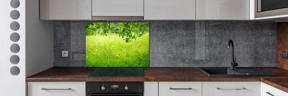 Cooker splashback Green meadow