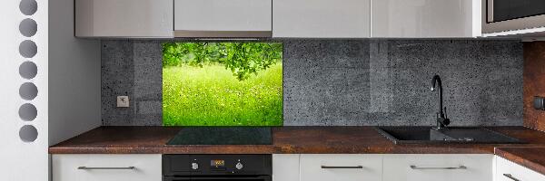 Cooker splashback Green meadow